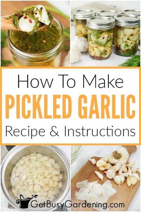 pickled-garlic-recipe-quick-easy-delicious-get-busy image