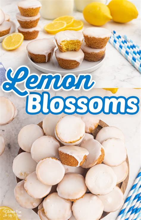 lemon-blossoms-kitchen-fun-with-my-3-sons image