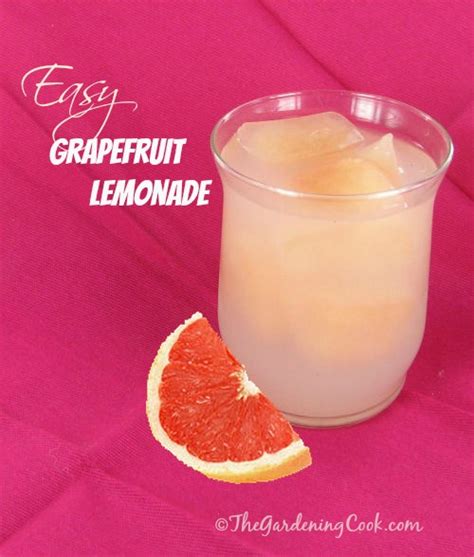 grapefruit-juice-ice-cubes-the-gardening-cook image