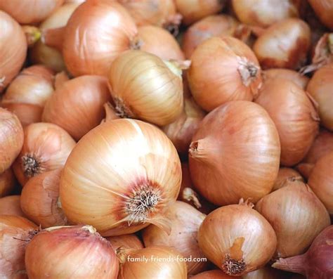 caramelised-onion-and-feta-tart-family-friends-food image