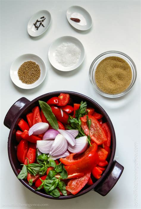 ketchup-italian-style-or-salsa-rubra image