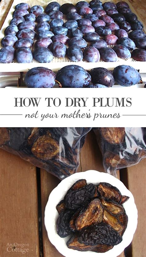 how-to-make-dried-plums-an-oregon-cottage image