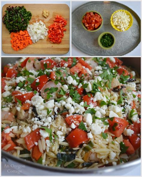greek-style-shrimp-and-orzo-recipe-an-oregon-cottage image
