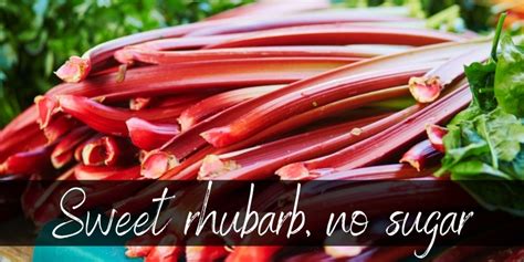 how-to-sweeten-rhubarb-without-sugar-cook-it-sugar image