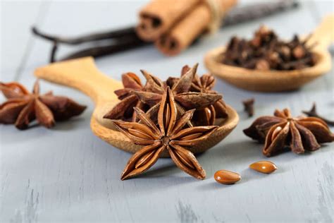 cooking-with-star-anise-the-dos-and-donts image