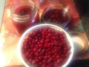 traditional-newfoundland-partridgeberry-jam-bonitas image