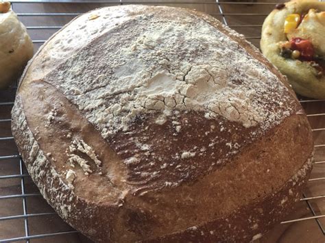 pane-cassereccio-recipe-italian-country-bread-busbys image