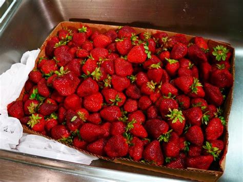 ball-freshtech-jam-jelly-maker-strawberry-jam image
