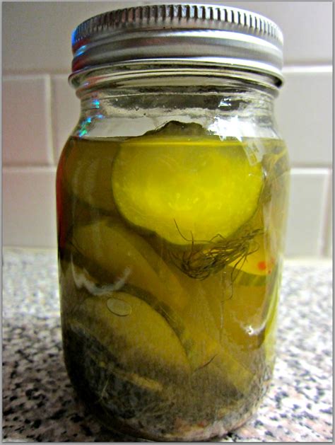 come-home-for-supper-microwave-dill-pickles-blogger image