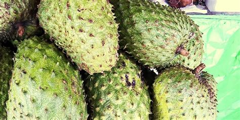 what-is-soursop-and-how-do-you-eat-it-allrecipes image
