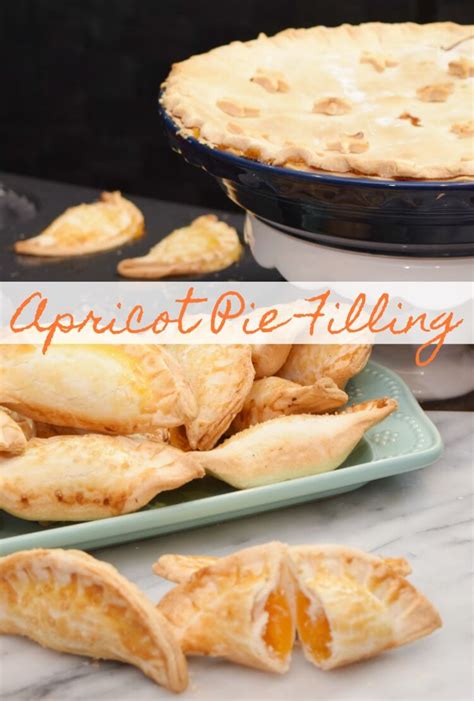 how-to-make-canned-apricot-pie-filling-the-tiptoe-fairy image