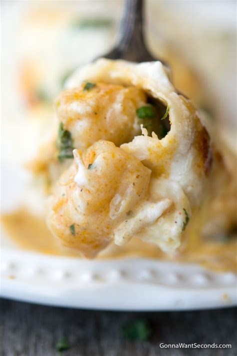 shrimp-enchiladas-gonna-want-seconds image