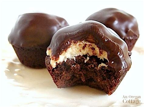 mini-almond-joy-brownies-recipe-an-oregon-cottage image