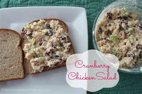 cranberry-chicken-salad-recipe-the-pennywisemama image