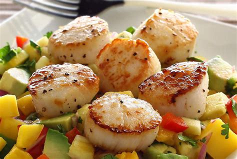10-must-try-scallop-recipes-paleo-leap image