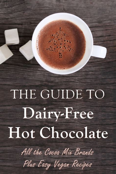 dairy-free-hot-chocolate-guide-with-hot-cocoa-brands image