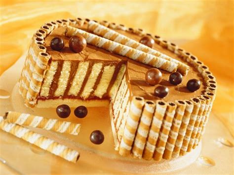 chocolate-cake-with-wafer-rolls-recipe-eat-smarter-usa image