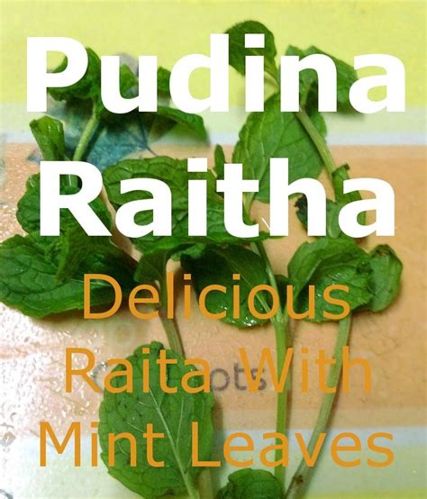 pudina-raitha-delicious-raita-with-mint-leaves image