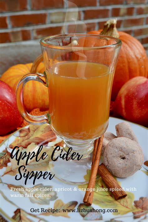 best-apple-cider-sipper-liz-bushong image