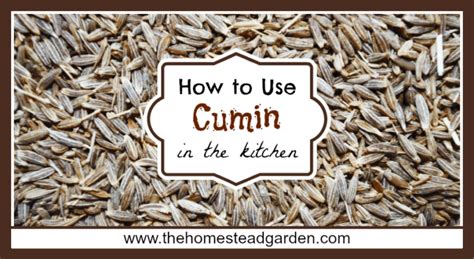 the-spice-series-how-to-use-cumin-in-the-kitchen image