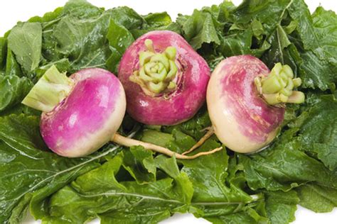 turnip-recipes-cdkitchen image