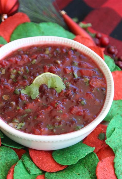 easy-cranberry-salsa-mom-endeavors image