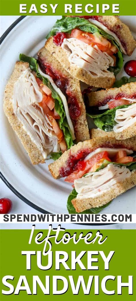 turkey-sandwich-with-cranberry-sauce image