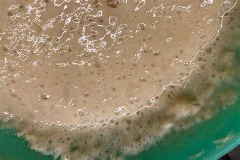 how-to-make-your-own-herman-sourdough-starter image