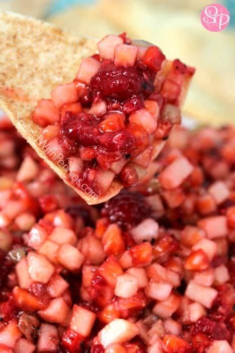 fruit-salsa-with-cinnamon-crisps-spend-with-pennies image