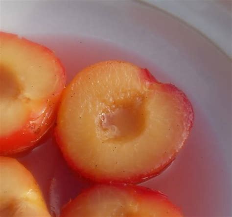 vanilla-poached-plums-the-english-kitchen image