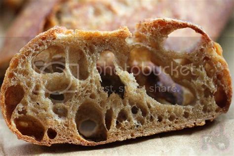 36-hours-sourdough-baguette-with-100-whole-grain image