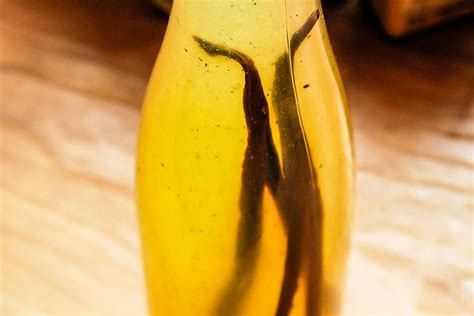 lemon-vanilla-syrup-recipe-spice-trekkers image