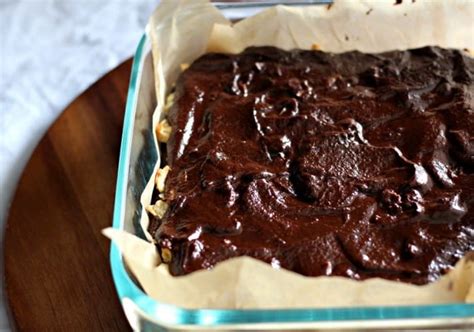 triple-layer-chocolate-coconut-macaroon-cake-paleo image