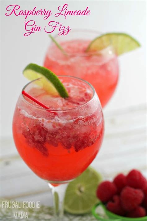 raspberry-limeade-gin-fizz-sofabfood image