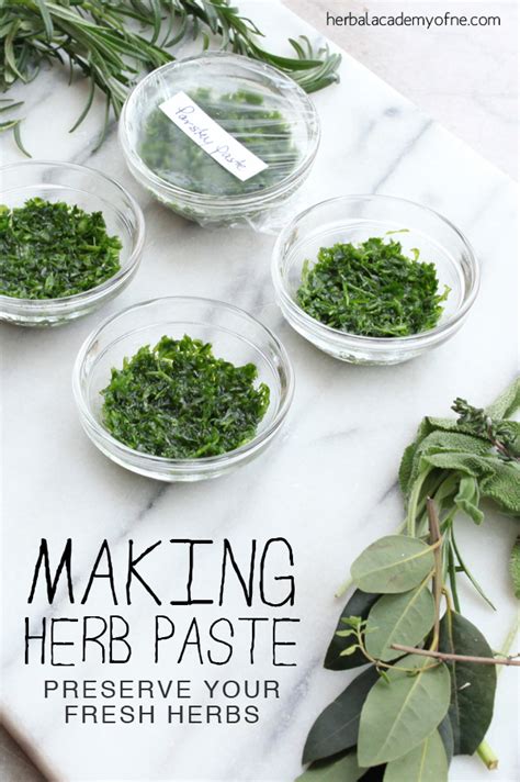 making-herb-paste-an-easy-way-to-preserve-fresh-herbs image