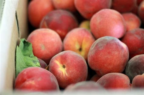 canning-deliciously-sweet-peaches-without-sugar image