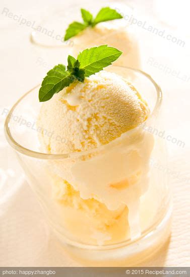 country-vanilla-ice-cream-recipe-recipelandcom image