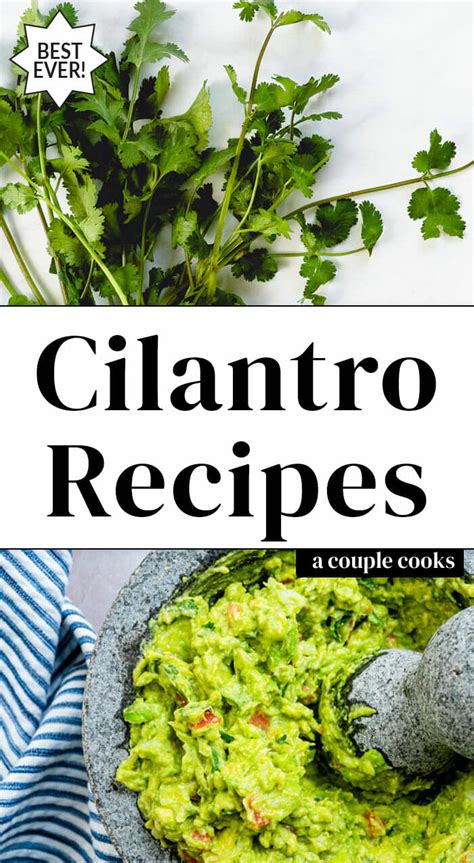 15-best-cilantro-recipes-a-couple-cooks image
