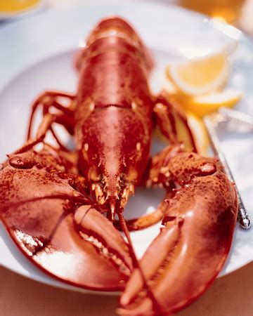 our-best-lobster image