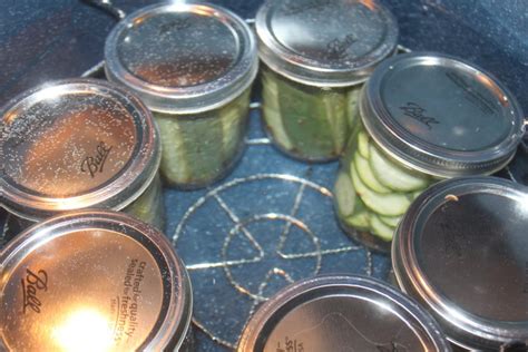 our-favorite-pickle-and-relish-recipes-canned image