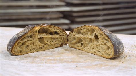 fast-sourdough-recipe-by-no-knead-bread-maker-jim image
