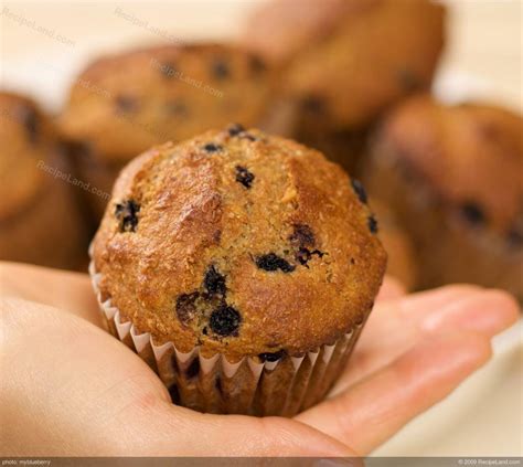 multigrain-blueberry-and-ginger-muffins image