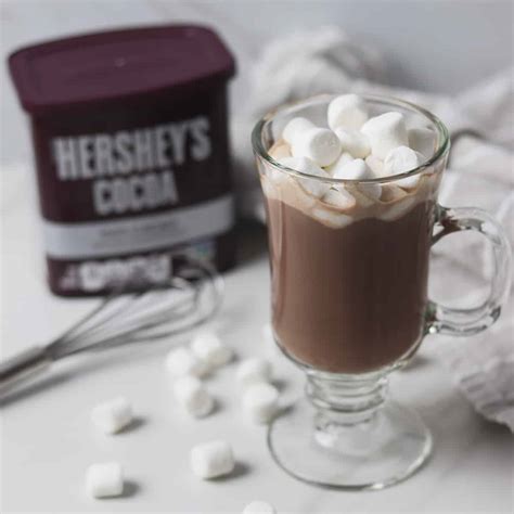 sugar-free-hot-chocolate-low-calorie-fat-free image