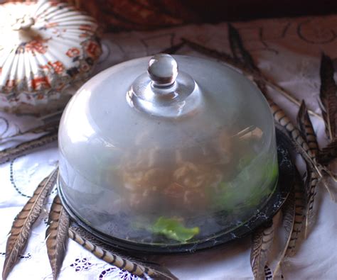 making-history-pheasant-under-glass-recipe-center-of image