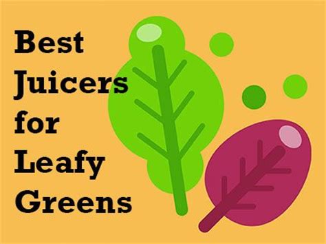 best-juicers-for-leafy-greens-reviews-and-comparisons image