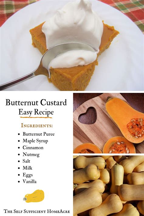 butternut-custard-recipe-the-self-sufficient-homeacre image