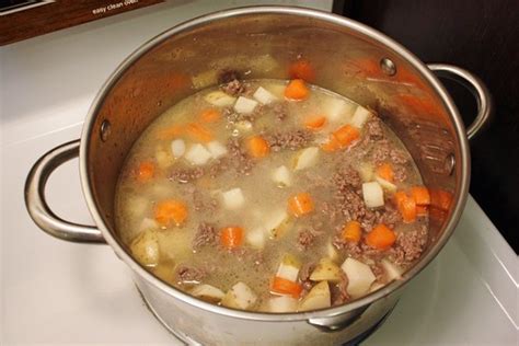 homemade-dog-food-beef-stew-life-at-cloverhill image
