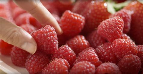 how-to-freeze-fresh-raspberries-driscolls image