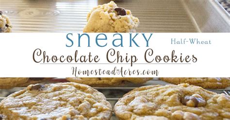 perfectly-sneaky-chocolate-chip-cookie image