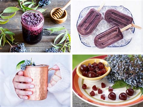 21-easy-nutritious-elderberry-recipe-ideas-happy image